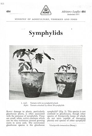 Symphylids. Advisory Leaflet No. 484.