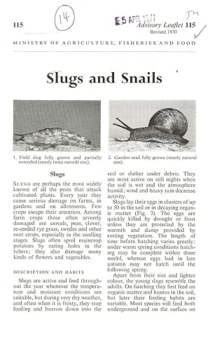 Slugs and Snails. Advisory Leaflet No. 115.