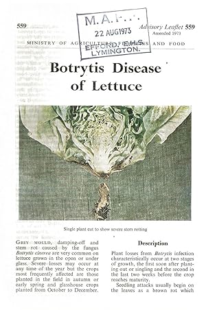 Bild des Verkufers fr Botrytis Disease of Lettuce. Advisory Leaflet No. 559. zum Verkauf von C. Arden (Bookseller) ABA