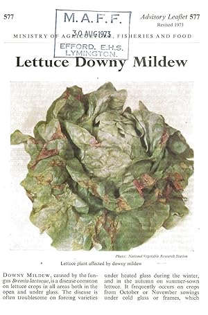 Bild des Verkufers fr Lettuce Downy Mildew. Advisory Leaflet No. 577. zum Verkauf von C. Arden (Bookseller) ABA