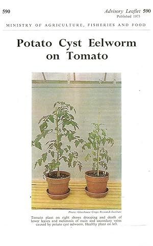 Bild des Verkufers fr Potato Cyst Eelworm on Tomato. Advisory Leaflet No. 590. zum Verkauf von C. Arden (Bookseller) ABA