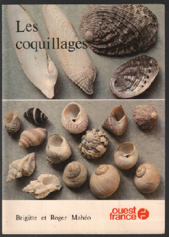 Les coquillages