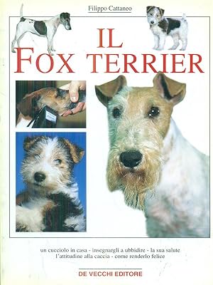 Il fox terrier