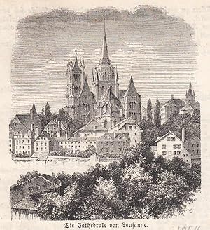 Bild des Verkufers fr Die Kathedrale von Lausanne. Schne Ansicht mit den am nchsten gelegenen Husern. zum Verkauf von Antiquariat Hild