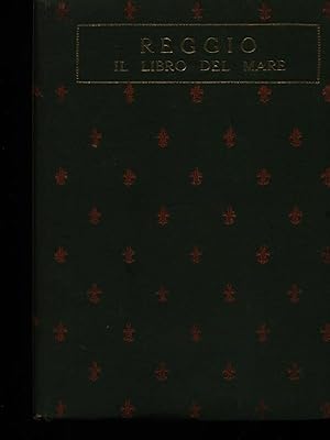 Imagen del vendedor de Il libro del mare a la venta por Librodifaccia