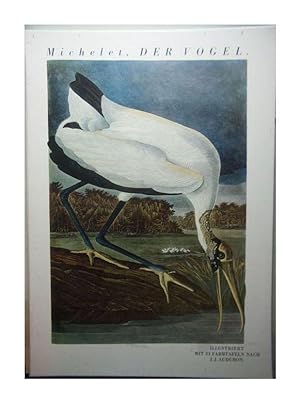 Der Vogel / Aus dem Französischen übersetzt und herausgegeben von Uwe Nettelbeck / Mit 33 Farbtaf...