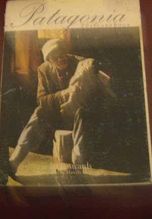 Imagen del vendedor de Patagonia: PostcardBook/ photography a la venta por Librería Monte Sarmiento