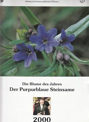 Die Blume des Jahres: Der Purpurblaue Steinsame. 2000.