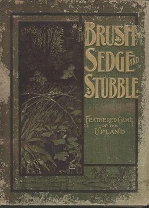 In Brush, Sedge and Stubble A Picture Book of The Shooting-Fields and Feathered Game of North Ame...