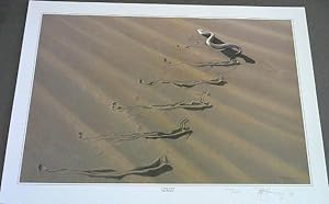 Wild Life Prints : Peter Bonney : "Cat be Nimble, Cat be Quick", "A Twist of Sand" - Limited