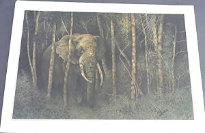 Wild Life Prints : Claude Jammet : "Solitaire", "Totem", "Beauty and the Beast" - Limited