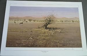 Wild Life Prints : Bert Lewington : "Striped Blazers in Namibia", "Rapier Horned Desert Dweller"-...