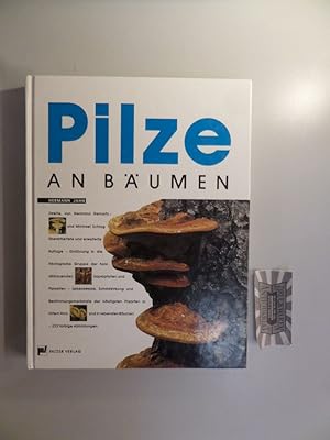 Bild des Verkufers fr Pilze an Bumen. zum Verkauf von Druckwaren Antiquariat