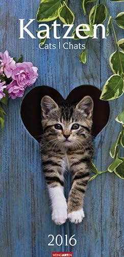 Bild des Verkufers fr Katzen 2016 : Cats; Chats zum Verkauf von AHA-BUCH GmbH