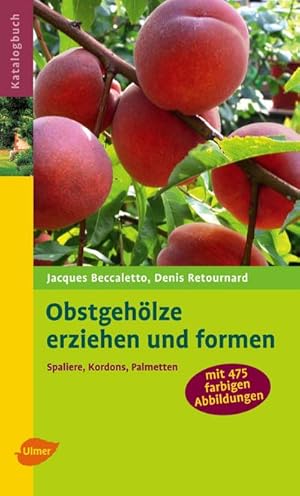 Seller image for Obstgehlze erziehen und formen: Spaliere, Kordons, Palmetten (Katalogbuch) : Spaliere, Kordons, Palmetten for sale by AHA-BUCH GmbH