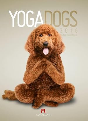 Bild des Verkufers fr Yoga Dogs 2016 : Wandkalender zum Verkauf von AHA-BUCH GmbH