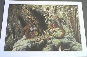 Wild Life Prints : Ray Holing : "Chance Encounter", "Leopard Rock", "Forest Family" - Limited