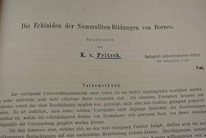 Die Echiniden der Nummuliten-Bildungen von Borneo. Beigebunden: Fossile Korallen der Nummulitensc...