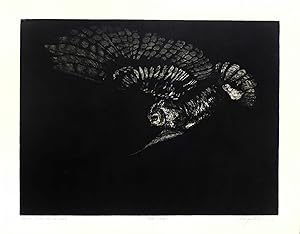 Flying Great Horned Owl [Original Print]