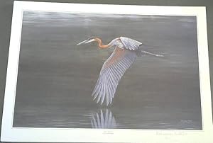 Wild Life Prints : Bronwen Mellor : "At Full Stretch", "Silent Departure"- Limited