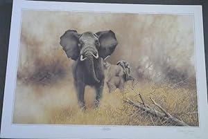 Wild Life Prints : Graham Jahme : "The Bluff", "Mock Charge" - Limited