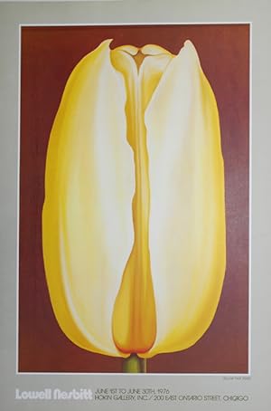 Lowell Nesbit: Tulpen / Yellow Tulip - (Hokin Gallery, Chicago - Plakat / 1976)