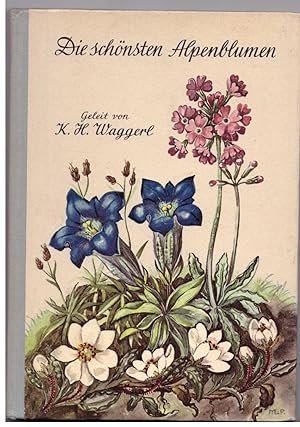 Seller image for Die schnsten Alpenblumen for sale by Bcherpanorama Zwickau- Planitz