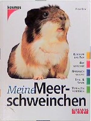 Meine Meerschweinchen