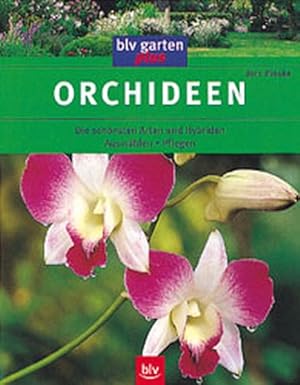 Seller image for Orchideen for sale by Versandantiquariat Felix Mcke