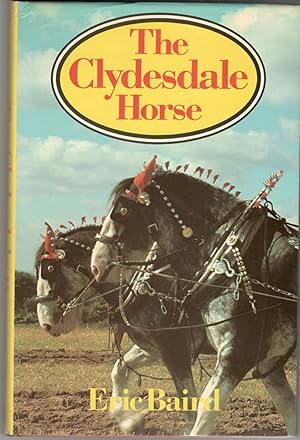 The Clydesdale Horse.