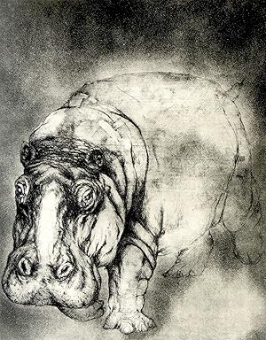 Hippo Walk [Original Print]