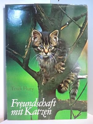 Seller image for Freundschaft mit Katzen for sale by Antiquariat Weber