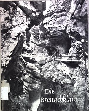 Seller image for Die Breitachklamm; for sale by books4less (Versandantiquariat Petra Gros GmbH & Co. KG)