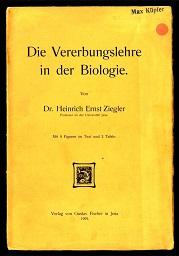 Die Vererbungslehre in der Biologie.