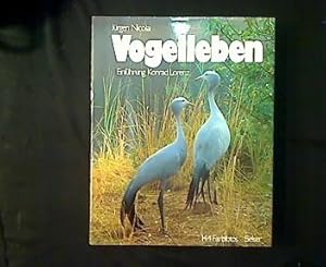 Vogelleben.