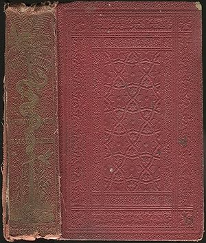 Bild des Verkufers fr The Forest Exiles; or, the Perils of a Peruvian Family Amid The Wilds of the Amazon zum Verkauf von Between the Covers-Rare Books, Inc. ABAA