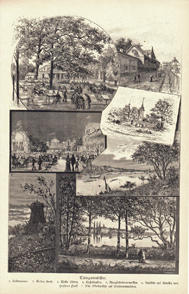 Tiergartenbilder aus Stockholm - Gröna Lund, Bellmansro, Hasselbacken - Original Holzstich Engraving