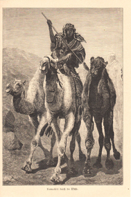 Kamelritt durch die Wüste Ägypten Nomaden Norafrika Original Holzstich Engraving Antik