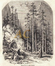 Waldpartie bei der großen Karthause Chartreuse Isere Frankreich Original Stich 1863 Engraving