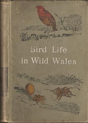 Bild des Verkufers fr BIRD LIFE IN WILD WALES. By J.A. Walpole-Bond. Illustrated with photographs by Oliver G. Pike. Second impression. zum Verkauf von Coch-y-Bonddu Books Ltd