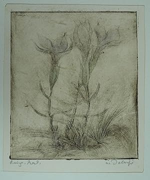 Bild des Verkufers fr Radierung "Blumen" rechts unten eigenhndig mit Bleistift signiert um 1935, 12,5 x 11 cm (22,5 x 19 cm Blattgr.) zum Verkauf von Antiquariat Johannes Mller