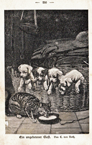 Ein ungebetener Gast - Katze am Futternapf der Welpen - Original Stich Engraving 1895