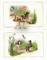 Hunde Spielende Welpen 2er Set Original Chromolithographie 1892 Lithography