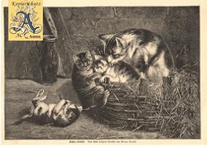 Katzenfamilie Korb Original Stich 1891 nach Minna Stocks Antik