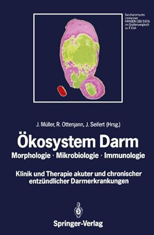 Immagine del venditore per kosystem Darm venduto da BuchWeltWeit Ludwig Meier e.K.