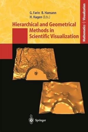 Bild des Verkufers fr Hierarchical and Geometrical Methods in Scientific Visualization zum Verkauf von AHA-BUCH GmbH