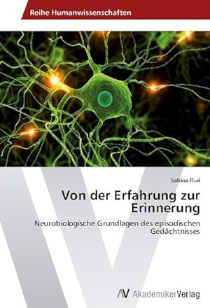 Seller image for Von der Erfahrung zur Erinnerung : Neurobiologische Grundlagen des episodischen Gedchtnisses for sale by AHA-BUCH GmbH