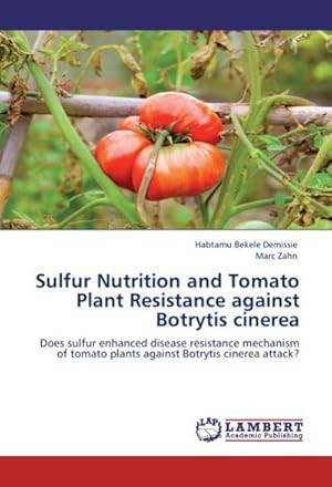 Immagine del venditore per Sulfur Nutrition and Tomato Plant Resistance against Botrytis cinerea : Does sulfur enhanced disease resistance mechanism of tomato plants against Botrytis cinerea attack? venduto da AHA-BUCH GmbH