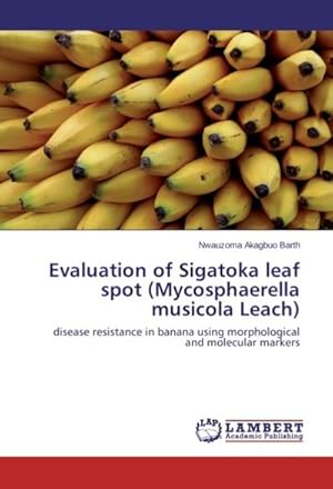 Imagen del vendedor de Evaluation of Sigatoka leaf spot (Mycosphaerella musicola Leach) : disease resistance in banana using morphological and molecular markers a la venta por AHA-BUCH GmbH