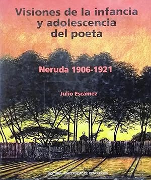 Imagen del vendedor de Visiones de la infancia y adolescencia del poeta. Neruda 1906-1921 a la venta por Librera Monte Sarmiento